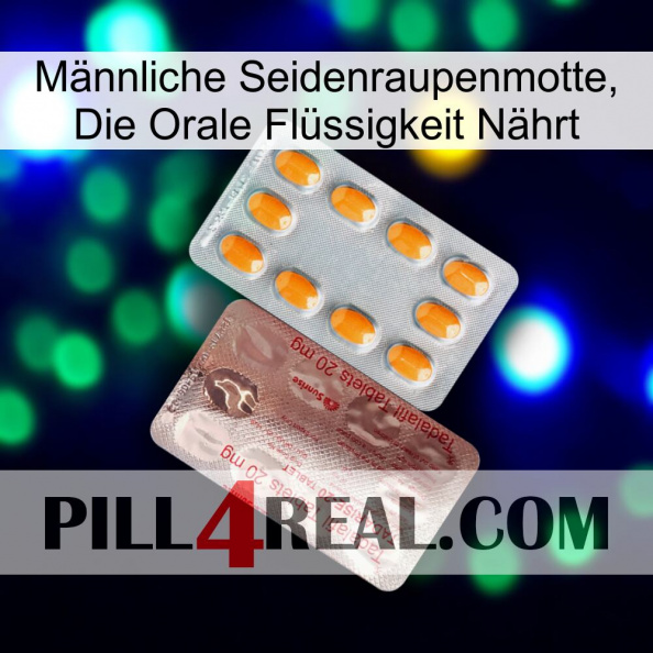 Männliche Seidenraupenmotte, Die Orale Flüssigkeit Nährt new13.jpg